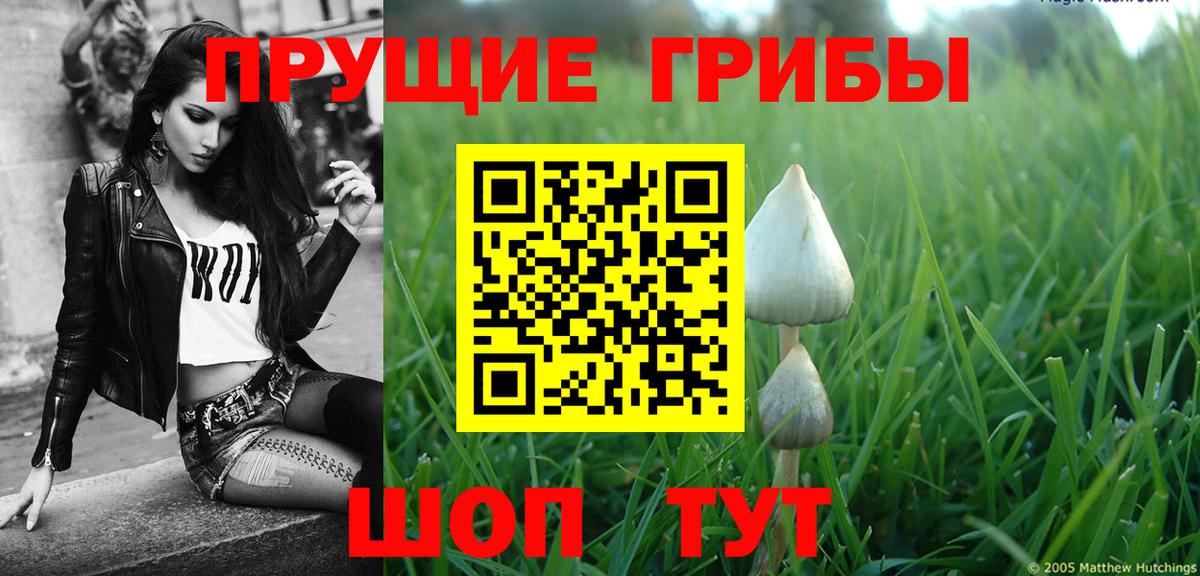 Псилоцибиновые грибы прущие грибы  Псилоцибиновые грибы мицелий  Ярцево  Вход с VPN 